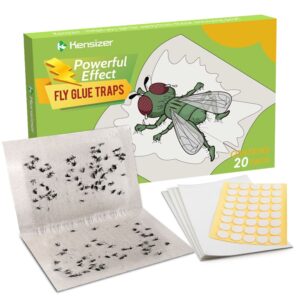 Kensizer 30-Pack Window Fly Traps for Indoors, Paper Sticky Strips, House  Fly Catcher Clear Trap for Home, Lady Bug Killer Traps