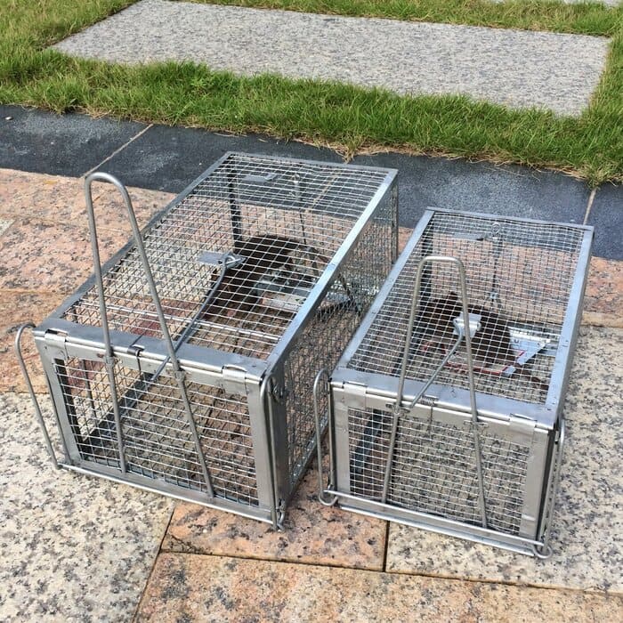 Humane Rat Trap Chipmunk Rodent Trap Mouse Trap Squirrel Trap Small Live  Animal Trap Mouse Voles Hamsters Live Cage Rat Mouse Cage Trap for Mice  Easy