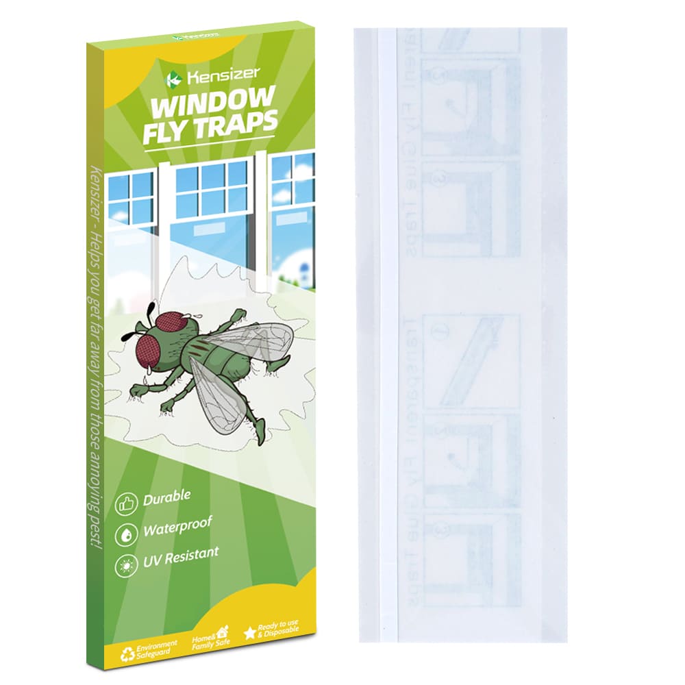 Indoor Fly Trap