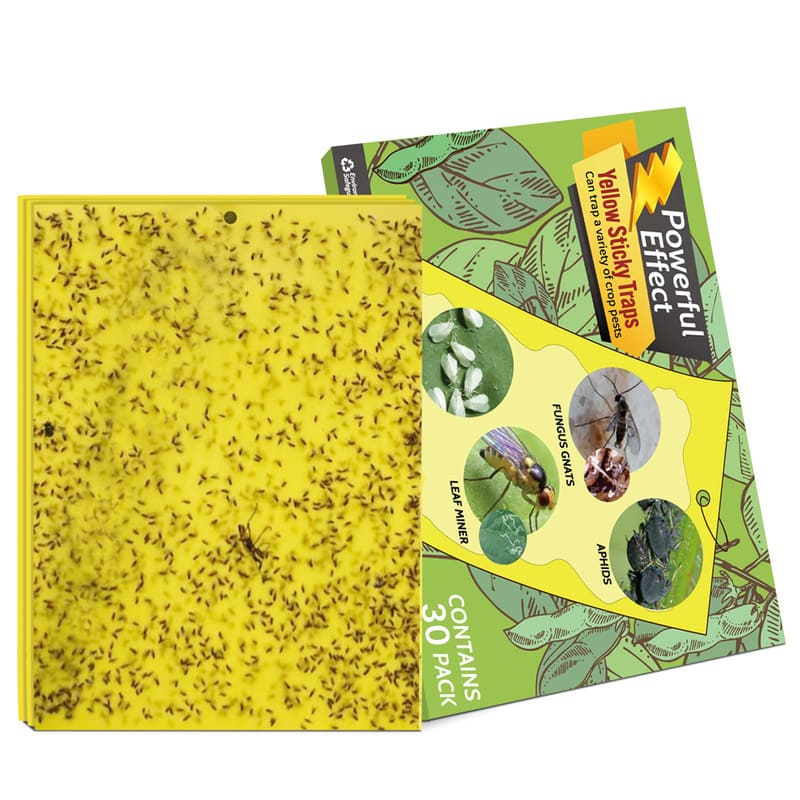 Yellow Sticky Bug Traps Sticky Fruit Fly Gnat Trap Mosquitos